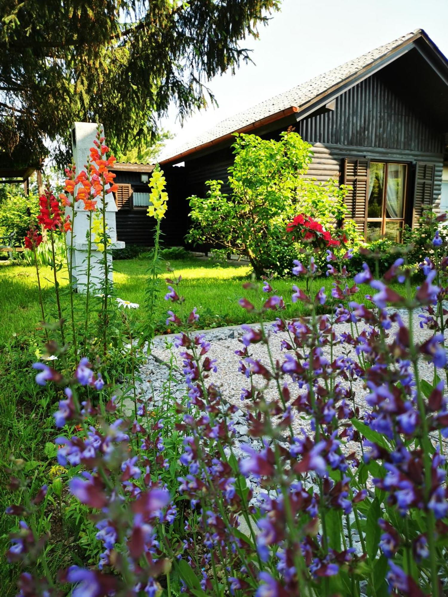 Merikotka - A Cozy Wooden Cottage, Slovenia Braslovce المظهر الخارجي الصورة