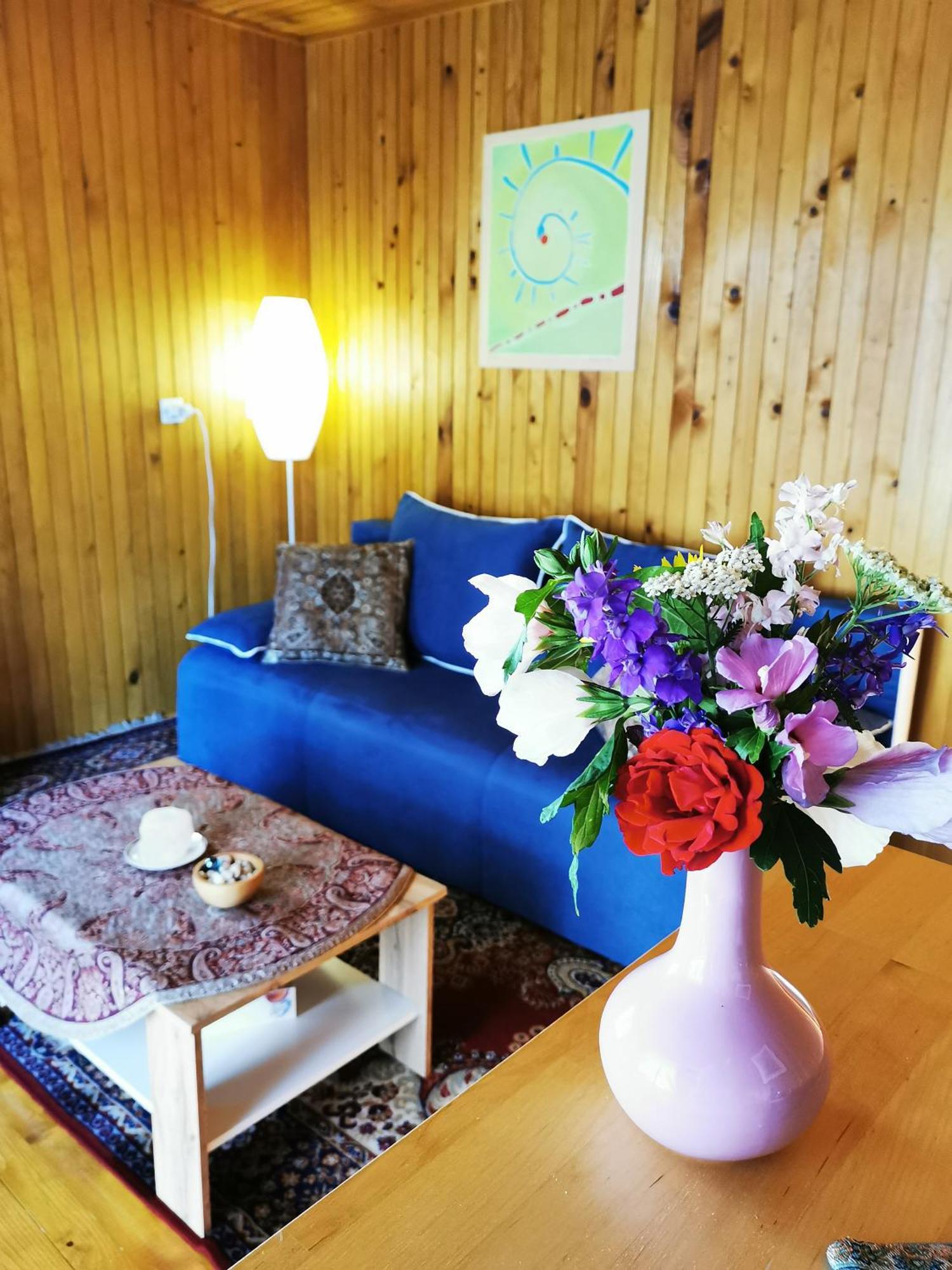 Merikotka - A Cozy Wooden Cottage, Slovenia Braslovce المظهر الخارجي الصورة