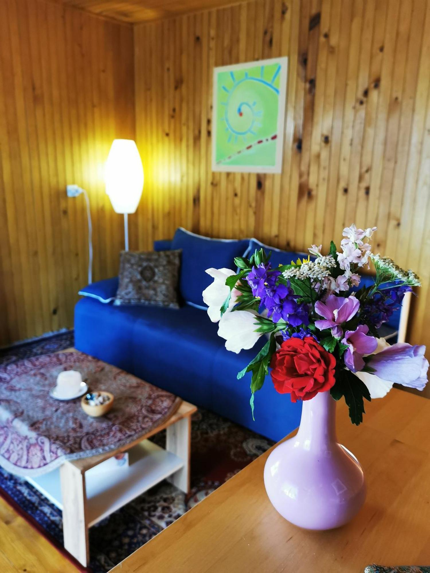 Merikotka - A Cozy Wooden Cottage, Slovenia Braslovce المظهر الخارجي الصورة