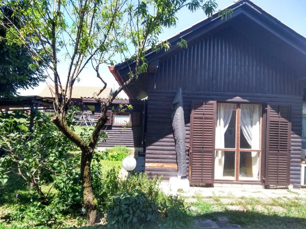 Merikotka - A Cozy Wooden Cottage, Slovenia Braslovce المظهر الخارجي الصورة