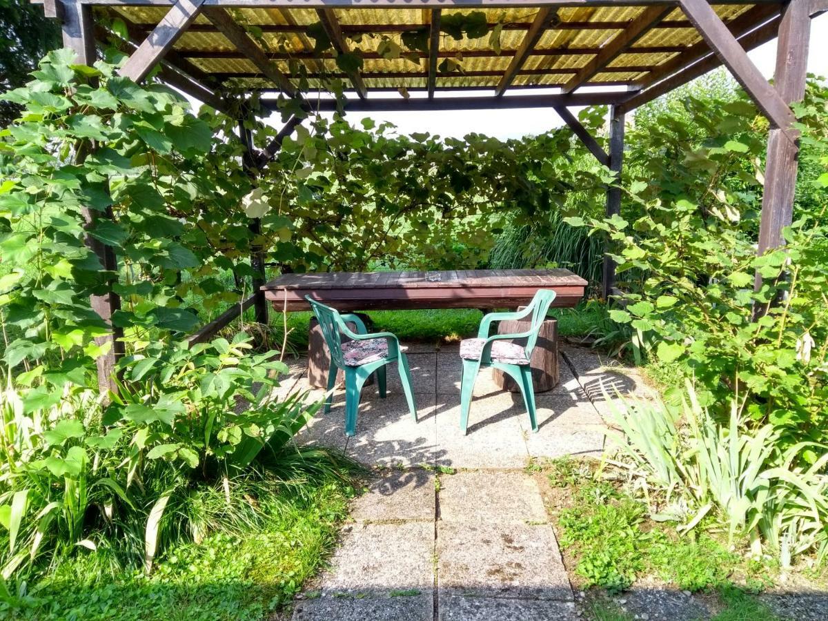 Merikotka - A Cozy Wooden Cottage, Slovenia Braslovce المظهر الخارجي الصورة