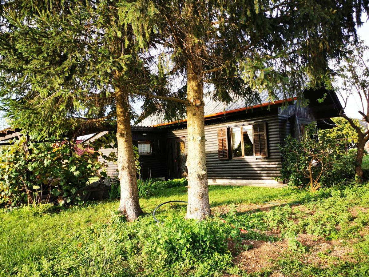 Merikotka - A Cozy Wooden Cottage, Slovenia Braslovce المظهر الخارجي الصورة